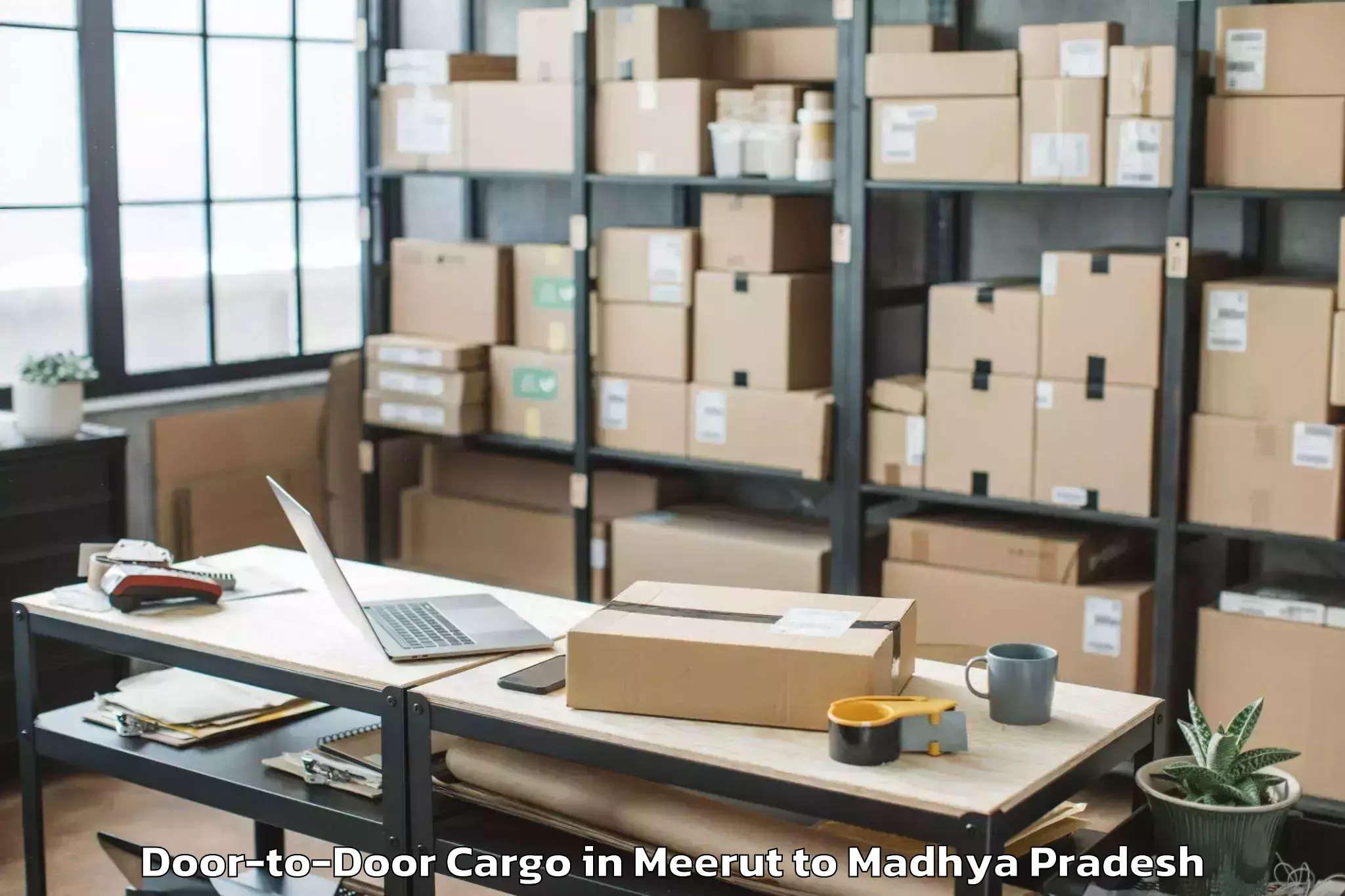 Efficient Meerut to Piploda Door To Door Cargo